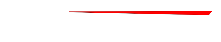 Firesky Team Logo